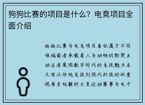 狗狗比赛的项目是什么？电竞项目全面介绍